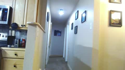 BabyDick online show from January 21, 2:22 am