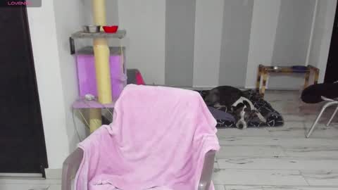 Loren online show from January 13, 12:29 am