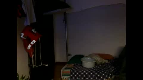 Honey online show from February 11, 7:50 pm