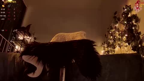 Franki online show from March 13, 7:50 pm