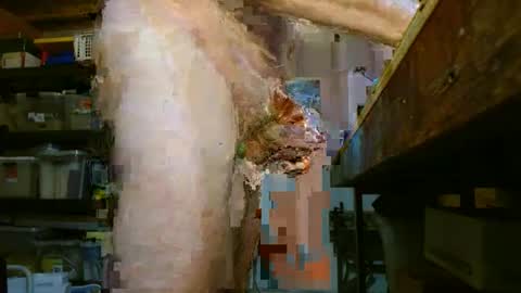 Bagger online show from April 21, 2:02 pm