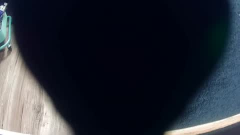 Bagofun online show from November 8, 7:11 am