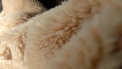 IM BAILEY online show from December 18, 12:44 pm