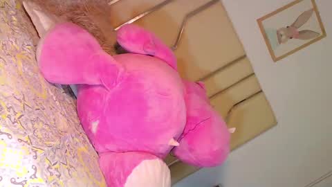 dara online show from December 3, 8:44 am