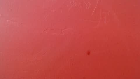 bayonette_black online show from November 21, 7:12 pm