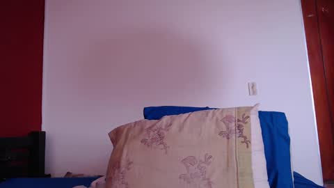 bayonette_black online show from February 22, 3:14 pm