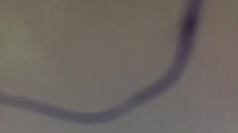 BB Namelezz online show from March 10, 9:02 am