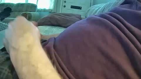 bcema2 online show from January 17, 8:28 pm