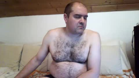 Snapshot of bear037 chatting on December 26, 12:46 am bear037 online show from December 26, 12:46 am