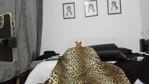 isabella online show from November 22, 4:38 pm