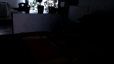 berlinerbaer1963 online show from July 26, 6:49 pm