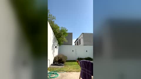 Bianca online show from January 13, 6:59 pm