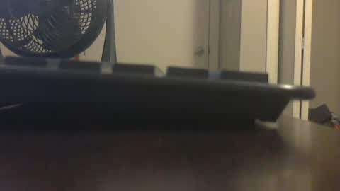 Bigasahorse2101 online show from April 6, 12:39 pm