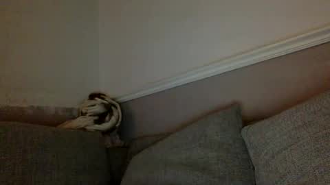 bigbumlover2377 online show from December 4, 10:42 pm