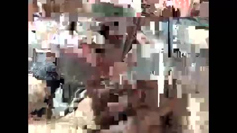 Snapshot of bigdaddy1231995 chatting on September 15, 6:42 pm BigDaddykodack online show from September 15, 6:42 pm