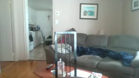 bigdeer581917471 online show from February 2, 5:48 pm