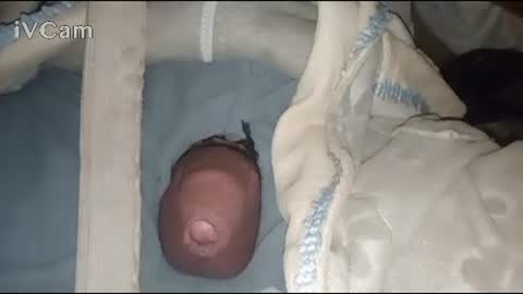 Big online show from February 3, 4:14 am