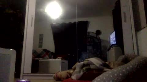 Snapshot of bigdickdangles472924 chatting on October 27, 1:38 am bigdickdangles472924 online show from October 27, 1:38 am