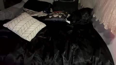 bigdickpapishampoo online show from February 12, 6:06 am