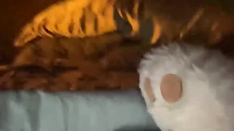 biggahhdihhh online show from April 9, 9:26 am