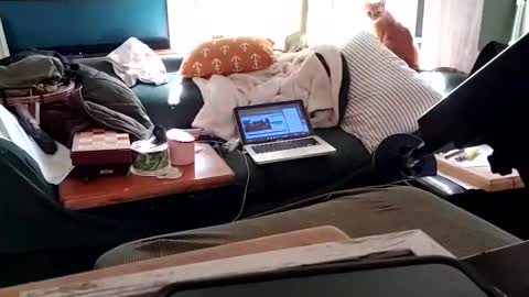 bigmanaround9 online show from February 3, 9:07 pm