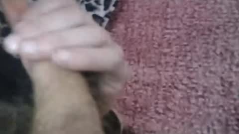 Snapshot of bigwalkdog420 chatting on January 26, 6:58 pm bigwalkdog420 online show from January 26, 6:58 pm