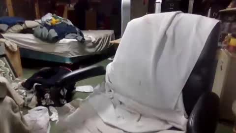 billmenow141 online show from December 2, 11:29 am