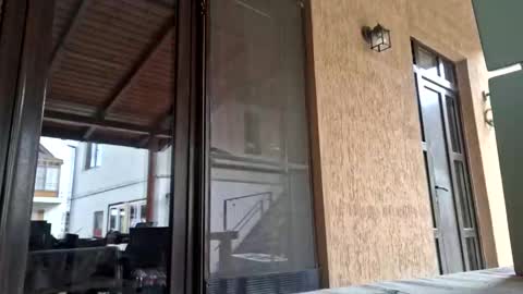 bisexdadd online show from September 27, 8:12 am