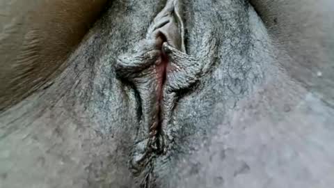 fiona online show from January 25, 1:19 pm