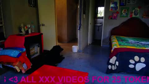 Black Panther online show from March 31, 1:00 pm