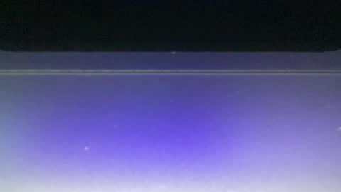 bluuuuuuub online show from December 29, 11:08 pm