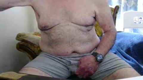 bolbil1 online show from April 26, 3:42 pm