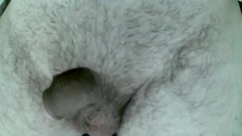 bombisse online show from March 2, 7:31 pm