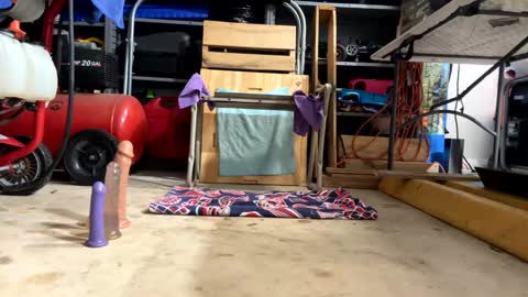 Snapshot of bone2play chatting on February 18, 2:38 am FRECKLES online show from February 18, 2:38 am