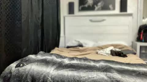 boner4you1994 online show from April 19, 4:24 am