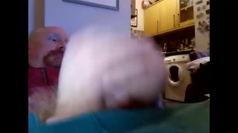 bonzoband online show from January 26, 12:47 am