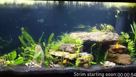 Booker Baxton online show from October 29, 3:08 am