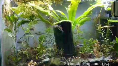 Booker Baxton online show from December 16, 4:08 am