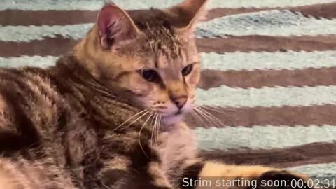 Booker Baxton online show from April 10, 3:12 am