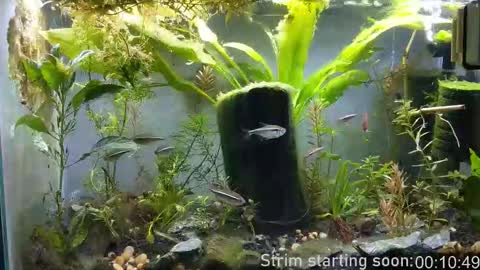 Booker Baxton online show from December 23, 3:56 am