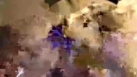 boredaf6678 online show from April 6, 11:39 pm