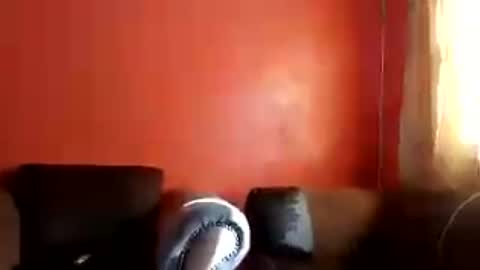 botsougaba online show from July 27, 7:49 am