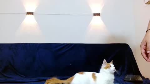 Brandon online show from November 10, 5:16 pm