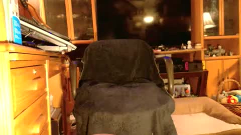 Brandi online show from October 22, 1:20 am