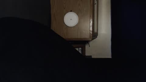 branflakes_ online show from September 29, 12:42 am