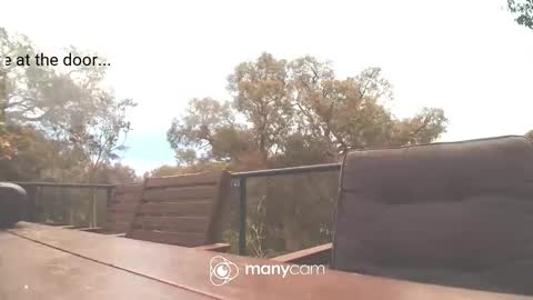 Fun Monster online show from October 16, 2:00 am