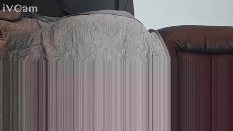 broadchatib online show from October 17, 8:07 am