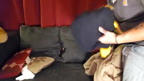 brownboyt online show from January 19, 2:54 am