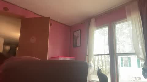Desiree online show from March 3, 3:30 pm