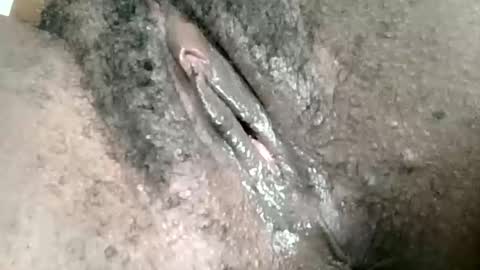 Brownie online show from June 8, 5:41 am